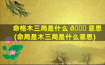 命格木三局是什么 🐟 意思(命局是木三局是什么意思)